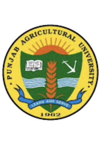 Punjab Agricultural University