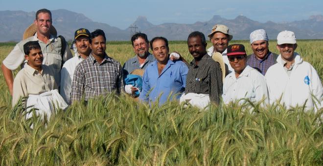 2007 wheat trainees in the field